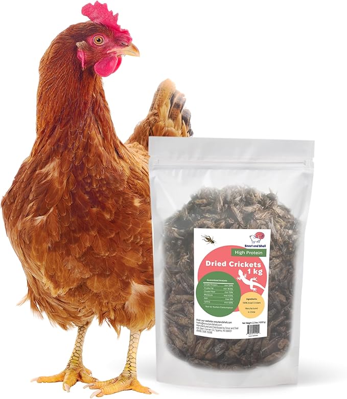 Dried Crickets (2.2 lbs) for Reptiles, Birds, and Small Pets - Natural Insect Food with Essential Nutrients - 1 kg