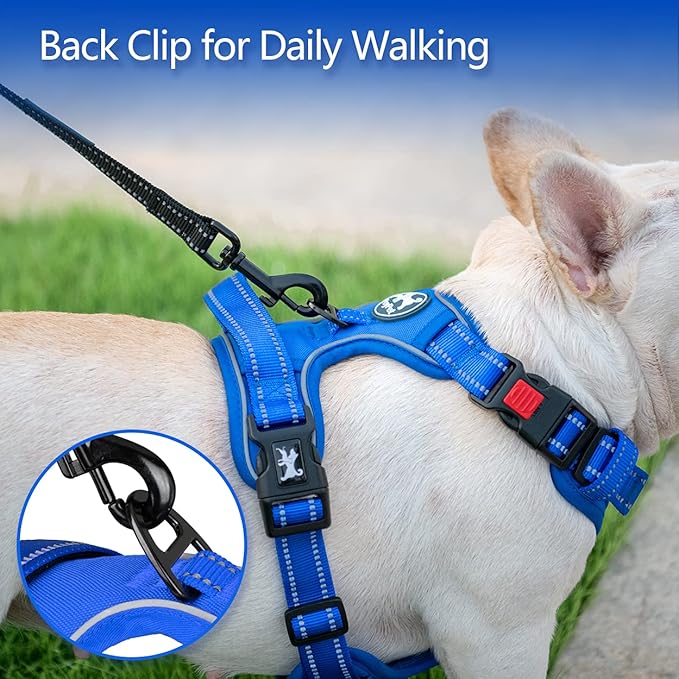 PoyPet No Pull Dog Harness, No Choke Reflective Dog Vest, Adjustable Pet Harnesses with Easy Control Padded Handle for Small Medium Large Dogs(Royal Blue,L)