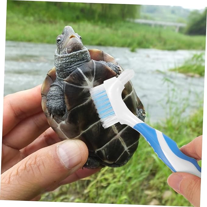 BESPORTBLE 2pcs Turtle Shell Cleaning Brush Multi-Functional Mud Remover for Aquatic Tortoise Shell Flexible Double-Headed Design for Easy Use and Care