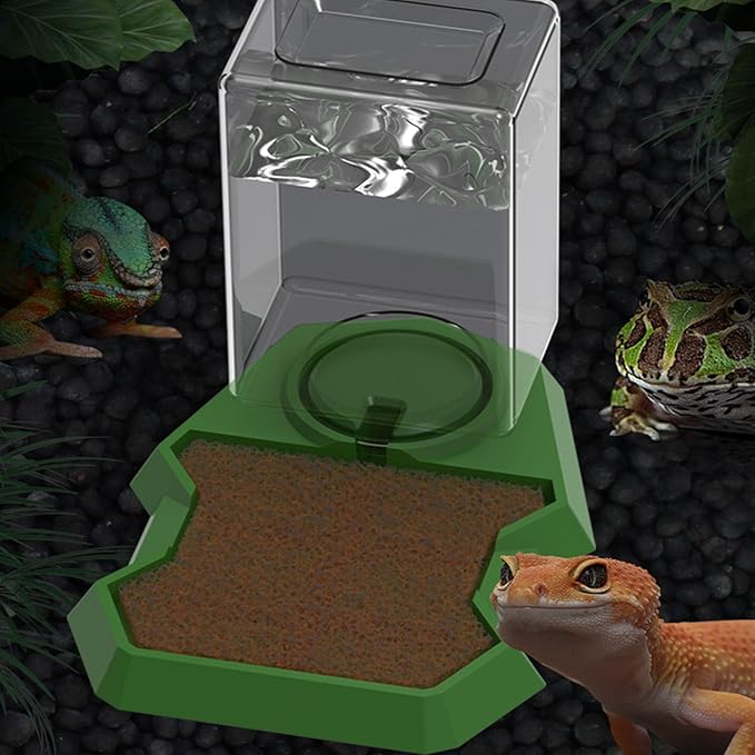 Reptiles Water Bowl with Clear Bottle Automatic Water Dispenser Drowning for Lizards Turtles Bearded Dragons Reptiles Water Feeder