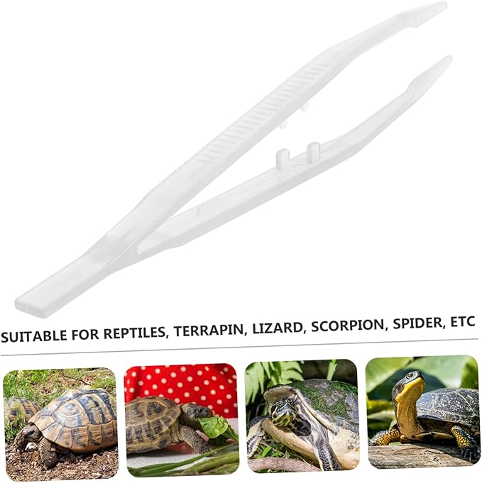 BESPORTBLE 2pcs Lizard Feeding Tweezers Reptile Feeding Tool for Lizards Turtles Frogs Lightweight and Easy to Grip Night Glow Tweezers for Pet Care