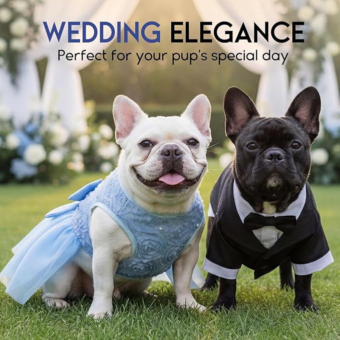 ASENKU Dog Dress Pet Wedding Dress Princess Lace Puppy Birthday Party Outfit Formal Apparel Girl for Small Medium Dogs Cats (Medium, Blue)