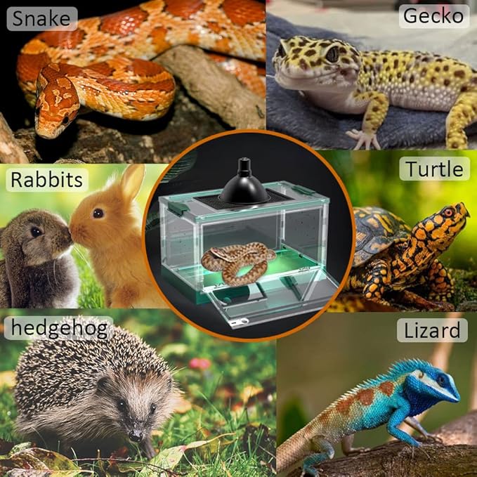 Large Snake Reptile Tank Amphibians Habitat Cages Sliding Screen Top for Lizard,Gecko, Frog, Hamster Animals(21.65"x12.6"x12.2") (Grey Blue)…