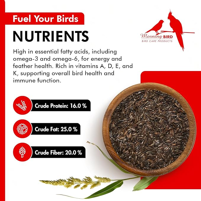 Morning Bird Nyjer Seed for Birds 18 lbs (2-Pack, 9 lbs Each) – Rich in Natural Healthy Fats – Ideal for Breeding & Molting – Premium Bird Food for Canaries and Other Seed-Eating Birds