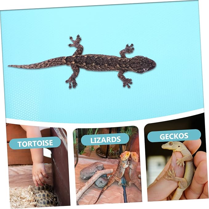 Angoily Eva Material Reptile Carpet Bearded Dragon Substrate Pad for Tank Lizard Hide Tortoise Bedding Snake Terrarium Accessories