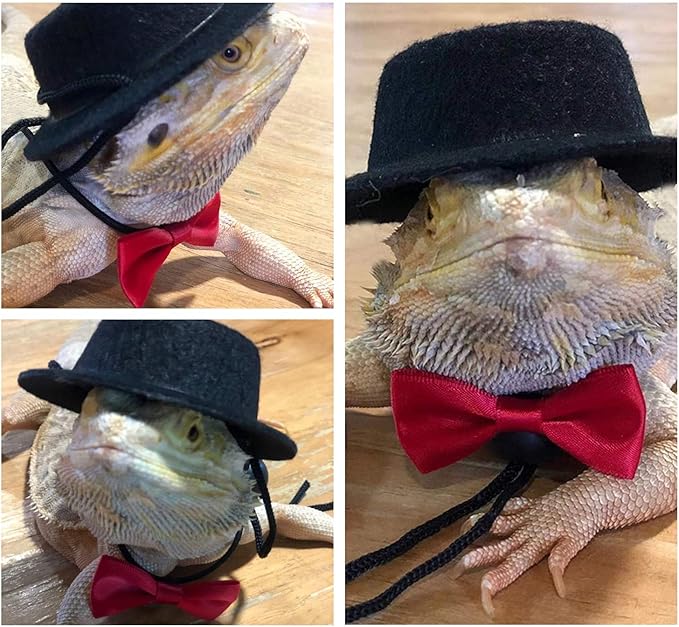Valentine's Day Bearded Dragon Lizard Leash Harness Hat Bowtie Set - Valentine's Day Hat + Bowtie + 3 Pack Harness for Bearded Dragon Iguana Amphibians Gift Small Animal Clothes Outfit(Black Set)