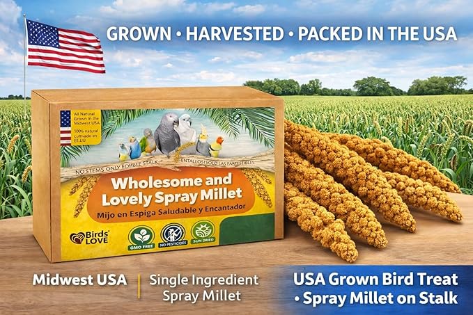 5lbs Wholesome Spray Millet for Birds – USA Grown, Harvested & Packed – 100% Natural Sun-Dried Millet Clusters – for Parakeets, Cockatiels, Conures, Budgies, Finches & All Parrots
