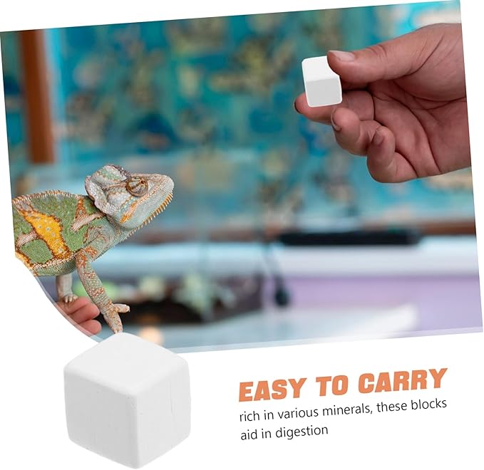 POPETPOP 6pcs Crab and Reptile Accessories Lava Bite Blocks for Chinchilla Hamster Pet Dental Health