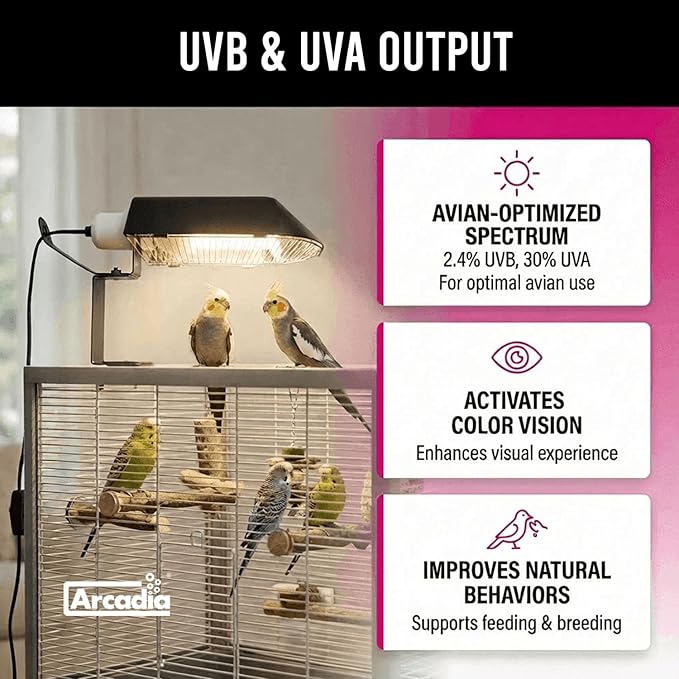 Arcadia Puresun Compact Bird Lighting Kit