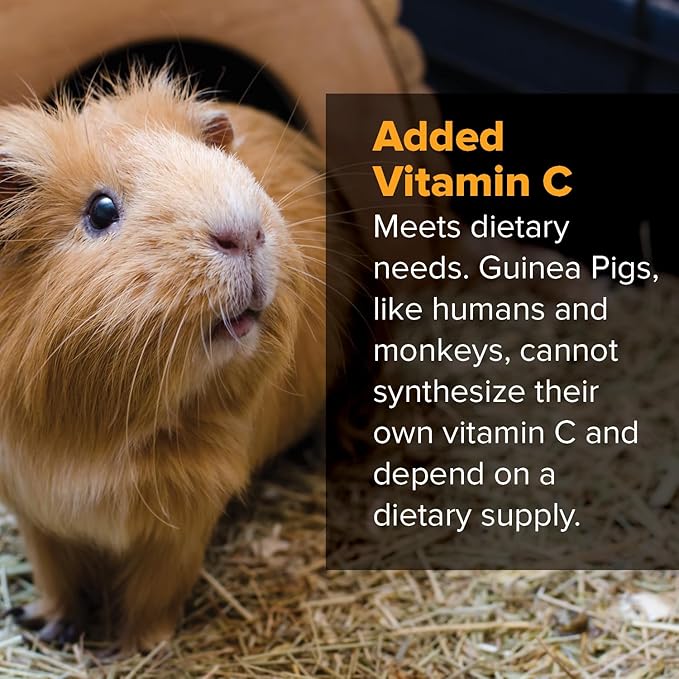 Blue Seal Kent Nutrition Furry Friends Guinea Pig Pellets with Added Vitamin C 25 lbs.