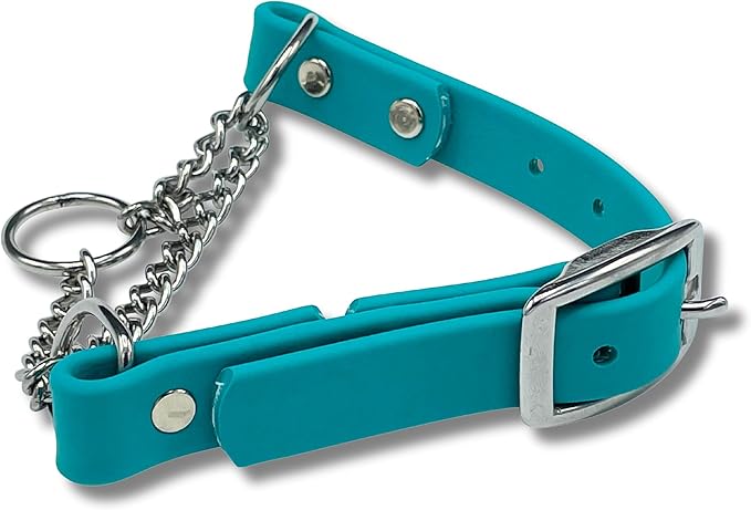 Martingale Collar for Dogs, Biothane, Stainless Steel Hardware, No Pull, Made in The USA, Professional Grade, Medium, Teal