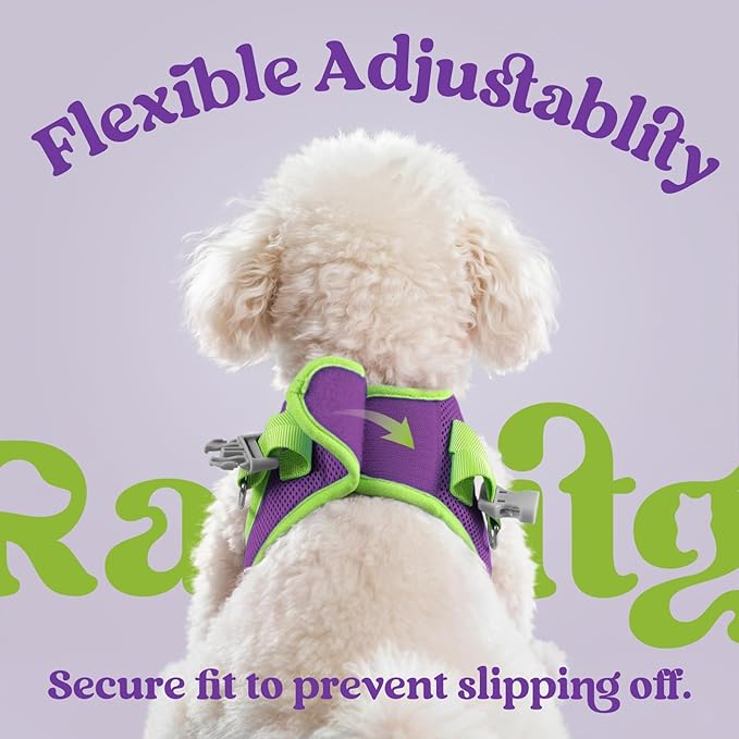 rabbitgoo Dog Harness Small Sized and Leash Set, Step-in Breathable Pet Harness, Soft Walking Reflective Puppy Vest for Small Dogs, Purple & Green, S