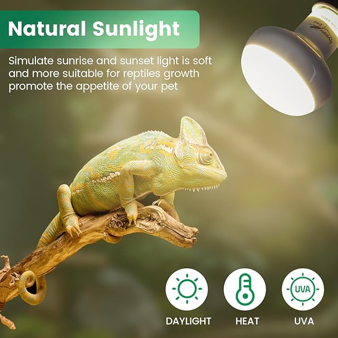 Reptile Heat Lamp Bulbs 100W (2-Pack) – Efficient Heating & Simulated Sunlight Basking Light for Amphibians, Bearded Dragon, Lizard, Turtle, Chicken – E26 Base
