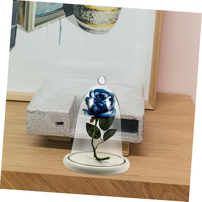 Garneck 1set Preserved Flower Glass Dome Base Decorative Flower Display Cover for DIY Micro Landscape Ornament for Home and Parties