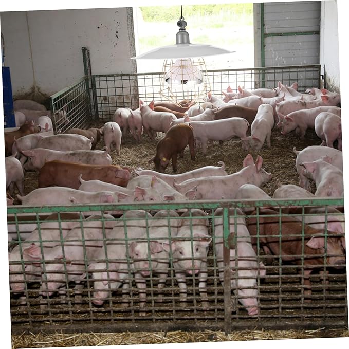 Heating Lamp Poultry Heat Lamp with and Materials for Pets Reptiles and Breeding Safe and Convenient Use