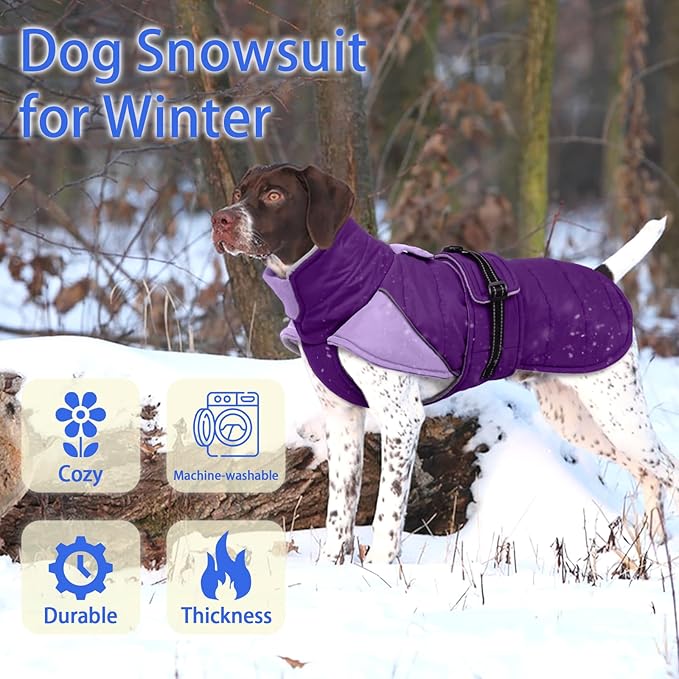 MIGOHI Comfortable Large Dog Coat - Waterproof Dog Coat with Reflective Strips,Windproof XXL Dogs Jacket with Warm Turtleneck, Snow Coats for Large Dogs,Labrador Golden Retriever,2XL,Purple