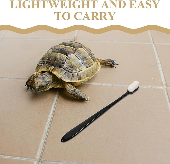 Hemobllo 10pcs Turtle Scrub Brushes Portable Shell Cleaning Tools with Soft Bristles for Aquatic Turtle Tanks and Tortoise Health Maintenance Supplies