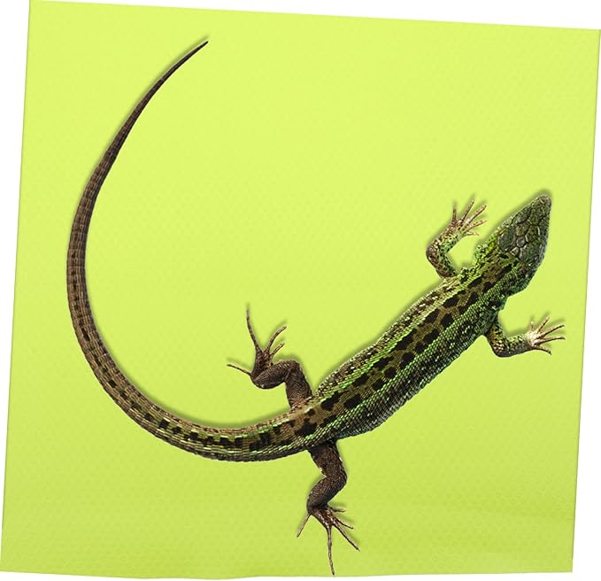 Toddmomy Reptile Carpet for Bearded Dragon Lightweight Crawling Mat Terrarium Liner for Gecko Tank Portable Substrate Bedding for Lizards Turtles Snakes