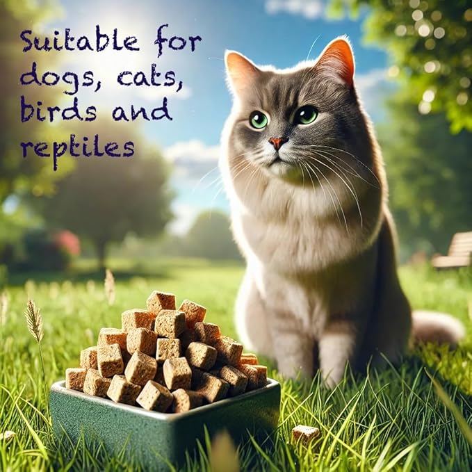 Freeze Dried pet Treats (5oz, Chicken) Thoughtfully Crafted to Satisfy Multiple Types of Animal Companions.