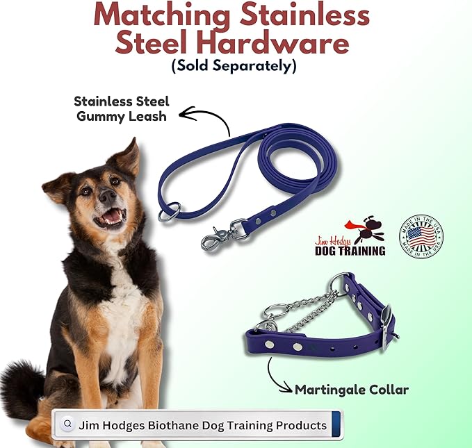 Martingale Collar for Dogs, Biothane, Stainless Steel Hardware, No Pull, Made in The USA, Professional Grade, Medium, Purple