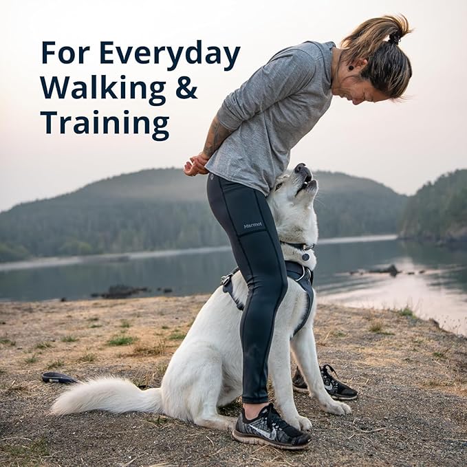 Ruffwear, Front Range Dog Harness, Reflective Soft Padded Everyday Harness with Dual Leash Clips, Adjustable and Lightweight Fit for Training or Walking for All Dogs, Coastal Mountains, Small