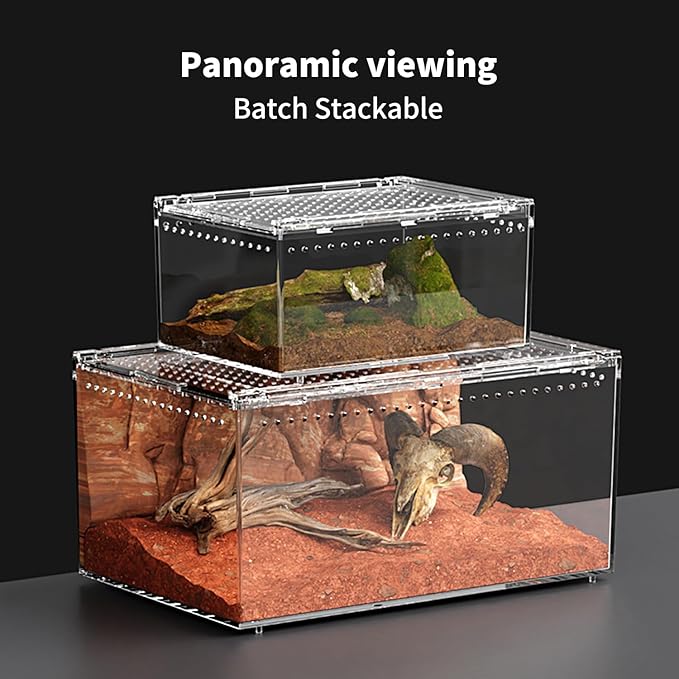 Reptile PC Terrarium 12" x 8" x 6", Tarantula Enclosure,Spider Tank Starter Kit, Hermit Crab Habitat,Lizard Enclosure,Insect Housing,Jumping Spider Cage
