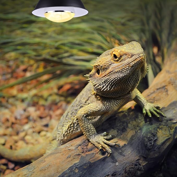 100W UVA UVB Reptile Light, Full Spectrum Reptile Heat Lamp Basking Bulb for Bearded Dragon, UVB Bulb Heat Light for Reptiles & Amphibians