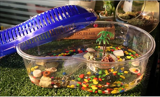 OMEM Portable Reptile House Terrarium Habitat Clear and Breathable (Small)