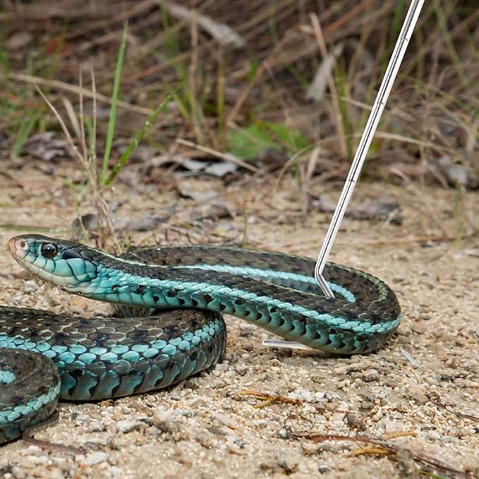 Collapsible Snake Hook Stainless Steel Extensible Snake Catcher Capture Hook for Catching Handling Grabber Separate Small Pet Snake