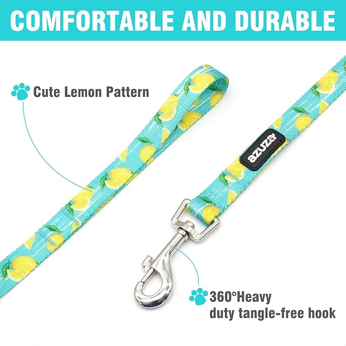 azuza Dog Collar and Leash Set, Lemon Patterns on Blue Nylon Collar and Matching Leash, Great Option for Large Dogs
