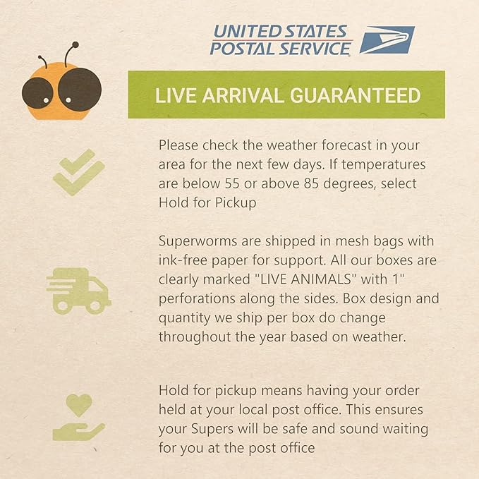 300 Live Superworms Superworm CO - Live Superworms - 300 ct - Large