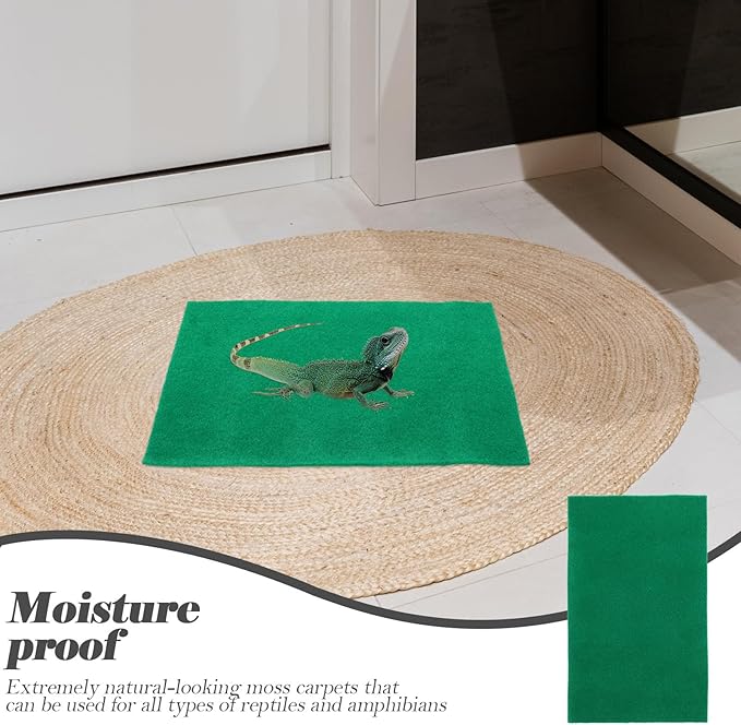 Wear-Resistant Reptile Mat and Tortoise Bedding, 2pcs 50x30cm Green Absorbent Carpet for Snake, Lizard, Gecko, and Amphibian Terrarium Use