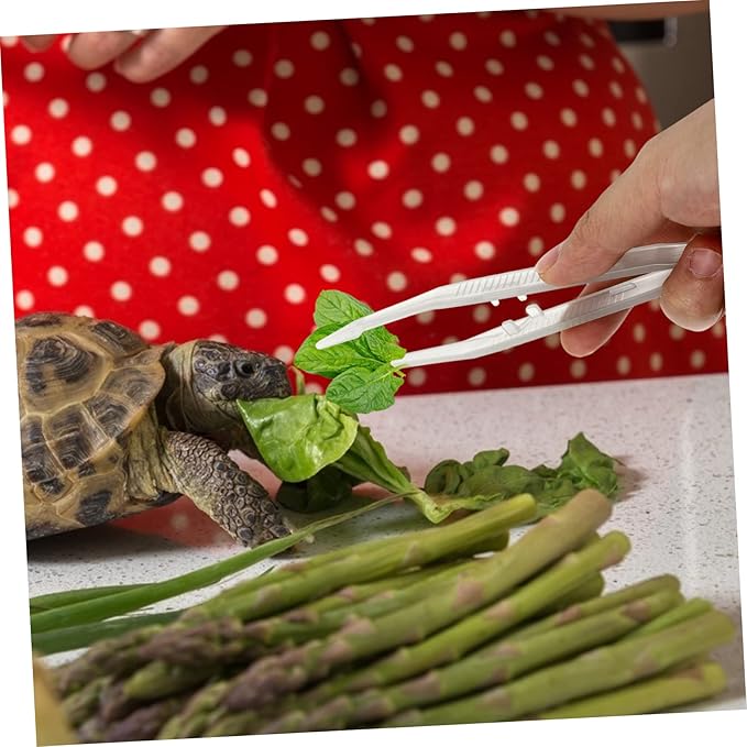 2Pcs Night Glow Feeding Tweezers for Reptiles Flexible Pet Feeding Clip Tools Design for Lizards Turtles Frogs Convenient Night Use
