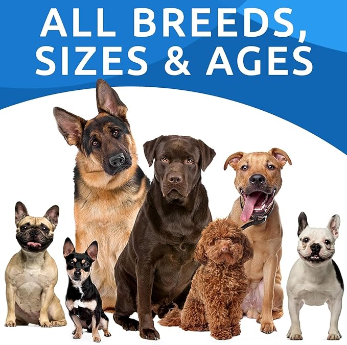 BARK&SPARK Dog Allergy Relief Soft Chews for Skin Health & Seasonal Allergies - Anti-Itch Supplement w/Omega-3, Quercetin & Bromelain Immune Treats for Dry Skin & Hot Spots - Peanut Butter - 120ct