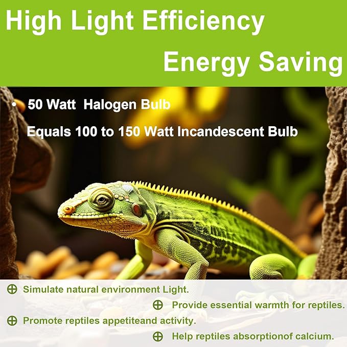 UVB UVA Reptile Light Bulb 50W Bulb for Reptiles and Amphibians Use for Turtle, Bearded Dragon, Lizard Cages Heat Lamp Replacement Bulb, Pack of 6