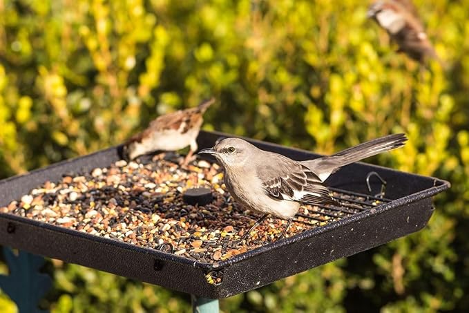 Bits N Things Wild Bird Food | Made in USA & All Season | (7 lbs., Value Feed Mix)