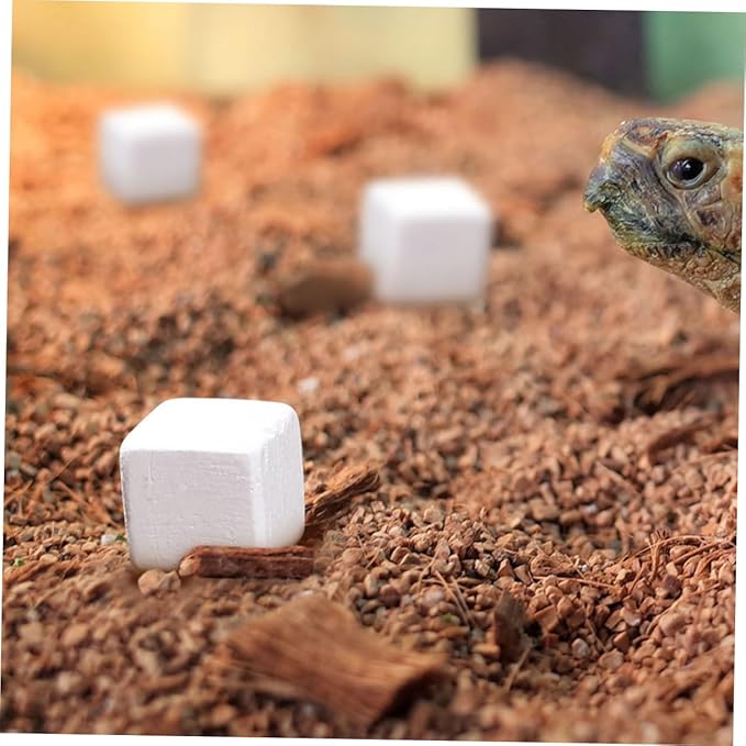 Kisangel 30pcs Natural Mineral Block for Tortoise Turtle Lizard Frog Chameleon Supports Health Promotes Growth Enhances Water Quality for Reptile Amphibian Care