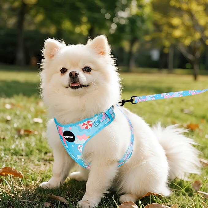 Small Dog Harness and Leash Set of 6, No Pull Soft Lightweight Mesh Puppy Harness， Adjustable Cute Floral Pattern Pet Harness for Small Medium Dogs (Blue Sea, S)