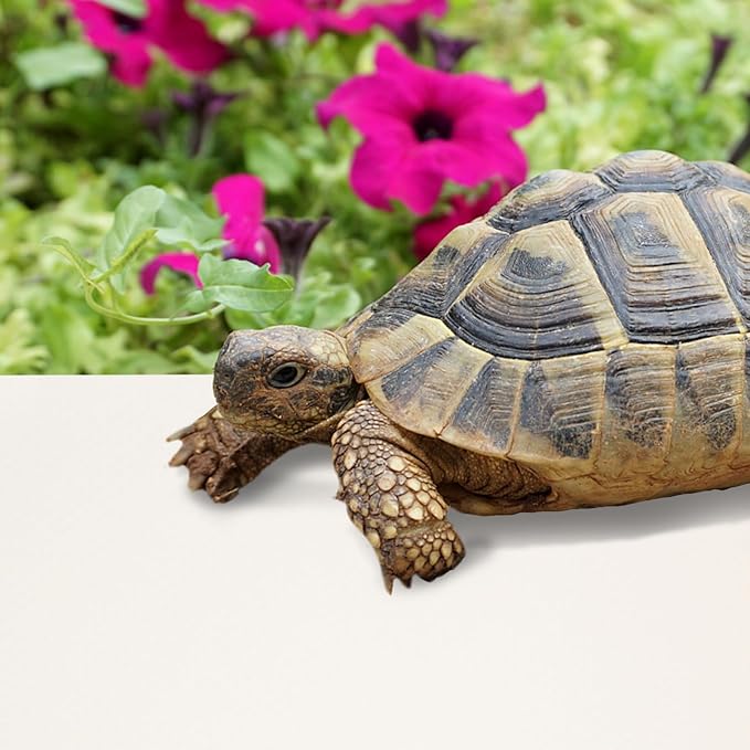 Reptile Carpet Substrate Mat for Leopard Gecko Snake Lizard and Turtle Sturdy Terrarium Liner Bedding for Reptile Tanks and Accessories