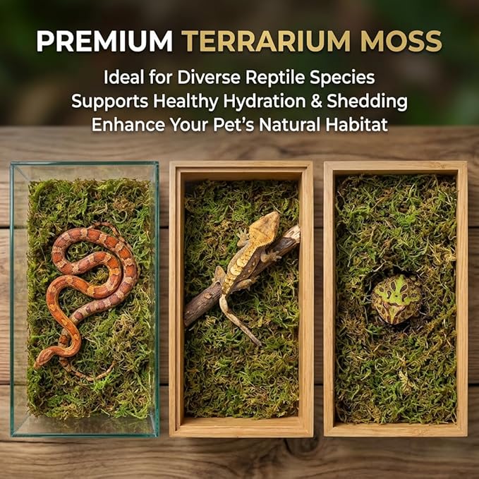 Sukh Sphagnum Moss for Reptiles -Terrarium Moss for Reptiles Peat Moss for Reptiles Habitat Bedding Moss for Snakes Turtle Frog Gecko and Other Reptiles Substrate (11.2, Ounces)
