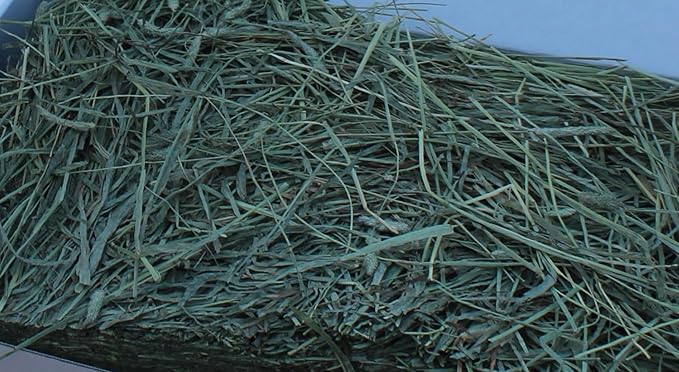 Diamond Rock Feed Timothy Hay 2nd Cutting Hay, Ideal for Rabbits, Guinea Pigs, Chinchillas, Mice, Rats and Hamsters, High Fat and Protein Content - 5 pounds