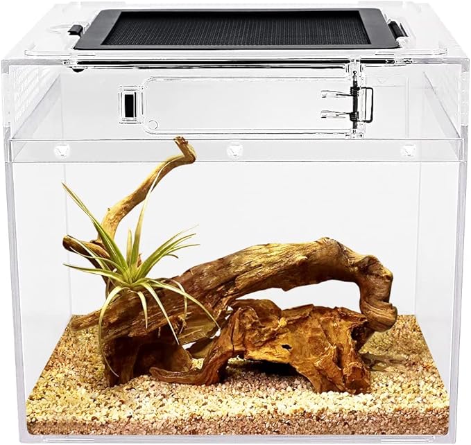 Reptile Growth mini Reptile Terrarium,8" x 8"x 8" Reptile Tank with Full View Visually Appealing，for Insect，Fish，Tarantula，Hermit Crab，Jumping Spider，Iguana，Tortoise，Leopard Gecko，Frog，Bearded Dragon