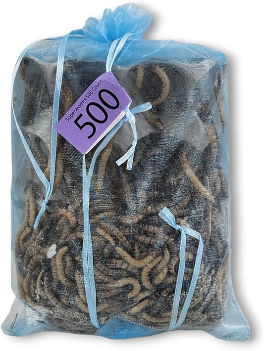 Josh's Frogs Superworms (500 Count)