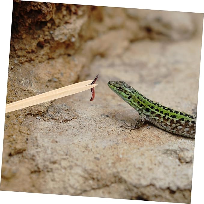 Lizard Feeding Tool Tweezers for Reptiles Safe Feeding Tool for Turtles and Geckos Flexible Design Smooth Prevents Injury to Pets