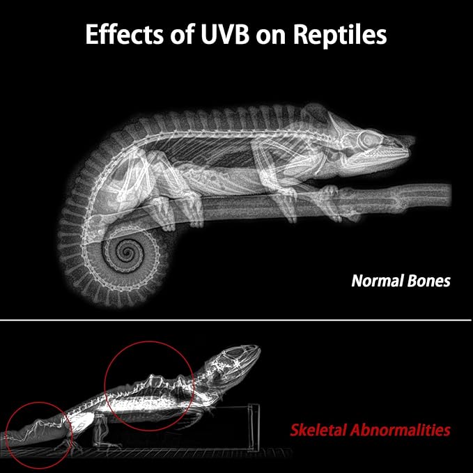 REPTITRIP 8-Inch LED UVB Reptile Light with Auto On/Off & Preset Day-Night Cycle Dimming, 4 UVI Modes Fixture Controller, 8W Aluminum UVA UVB Lamp for Bearded Dragons, Turtles & Snakes, 6500K