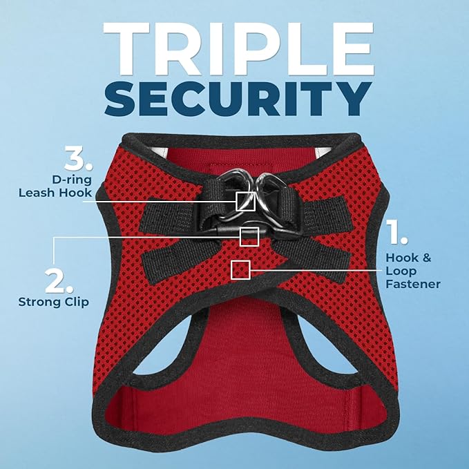 Best Pet Supplies Voyager Step-in Air All Weather Mesh Harness and Reflective Dog 5ft Leash Combo with Neoprene Handle, for Small, Medium and Large Breed Puppies - Set (Red/Black Trim), XX-Small