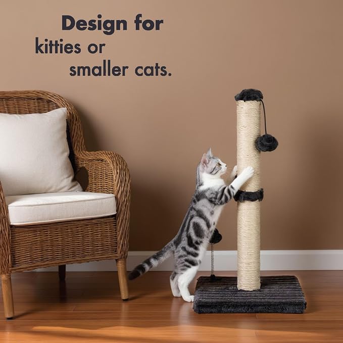 MECOOL Cat Scratching Post Premium Basics Kitten Scratcher Sisal Scratch Posts with Hanging Ball 22in for Kittens or Smaller Cats (22 inches for Kitten,Charcoal Gray) - Image 3