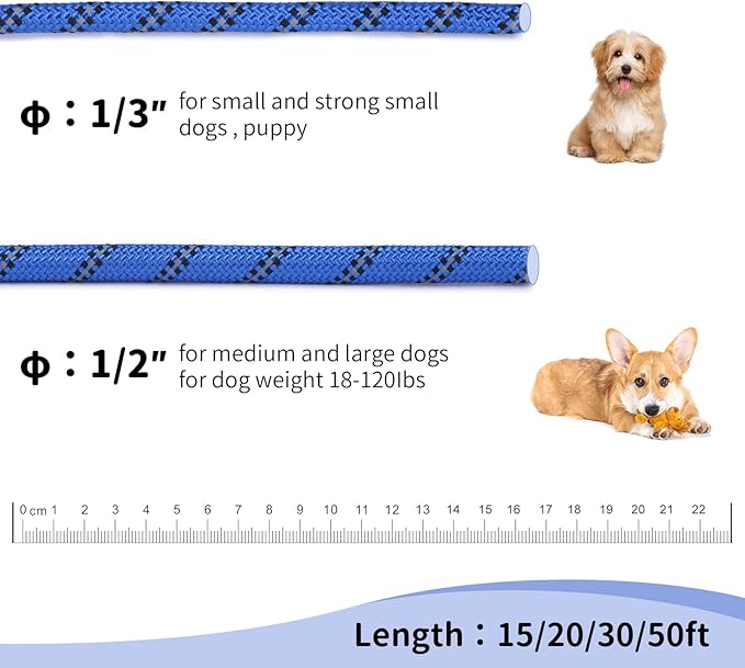 Long Dog Leash for Training 30Ft-Reflective Nylon Rope with Swivel Hook-Recall Agility Lead for Large Small Medium Dogs Outside Walking Hiking-Royal Blue Diam 1/2"
