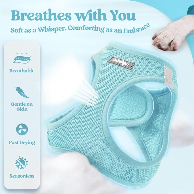 rabbitgoo Dog Harness Small Medium Sized and Leash Set, Step in Soft Light Puppy Vest, Breathable Mesh Pet Harness, Reflective for Safe Easy Walking, Mint Blue XL