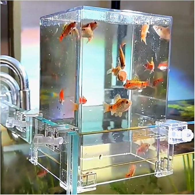 Negative Pressure Suspended Fish Tank Layer, Aquarium Fish Elevator with Auto Water Refill, Space Expansion Decor for Aquatic Pets